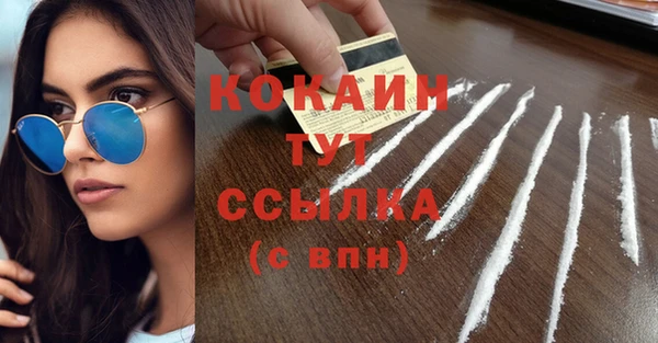 стафф Аркадак