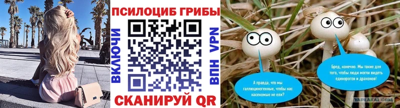 OMG ССЫЛКА  Темрюк  Галлюциногенные грибы мухоморы 